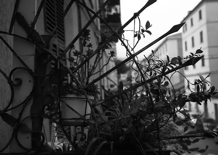 Bella Napoli Trattoria Pizzeria